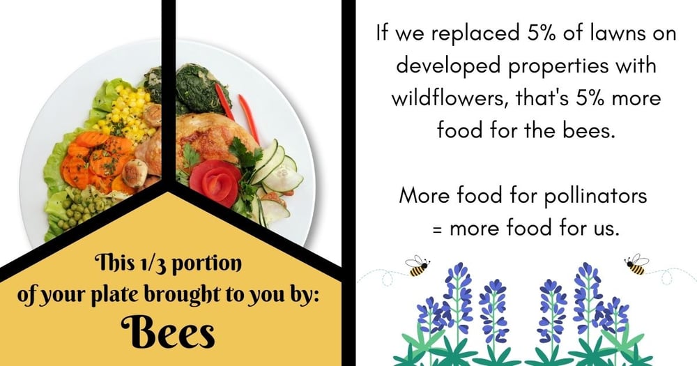 1 in 3 Bites of Food Bees